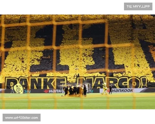 多特蒙德主场雪中TIFO展示，致敬俱乐部传统